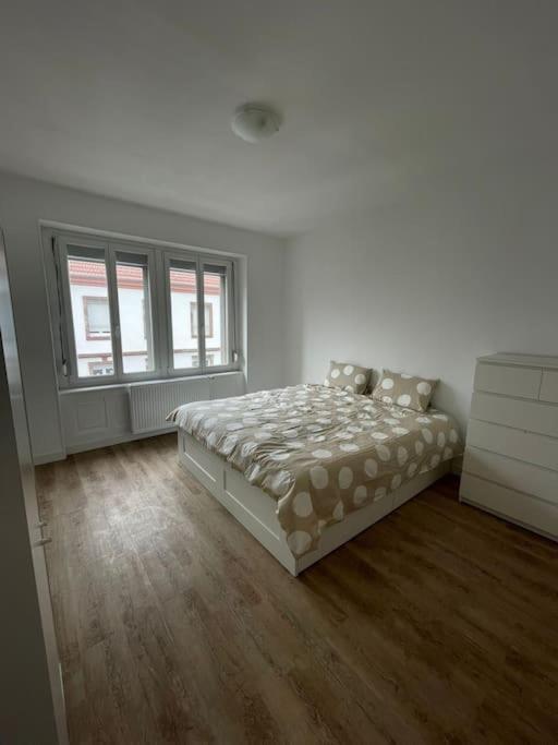 Mulhouse, Urban Family Nest Apartment ภายนอก รูปภาพ